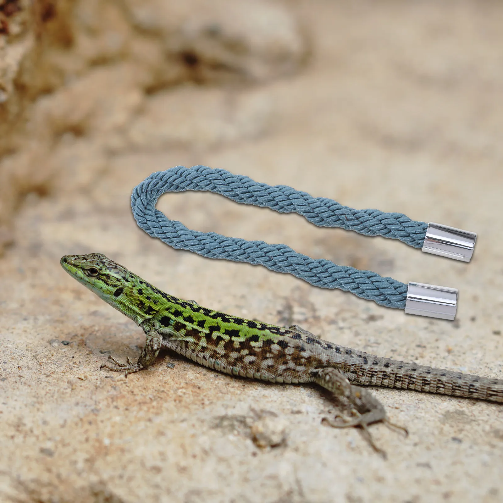 

Веревка для лазания для рептилий: для террариумов, бородатых драконов, крабов-отшельников, ящериц. Аксессуары для клеток, декор для жилищ животных.