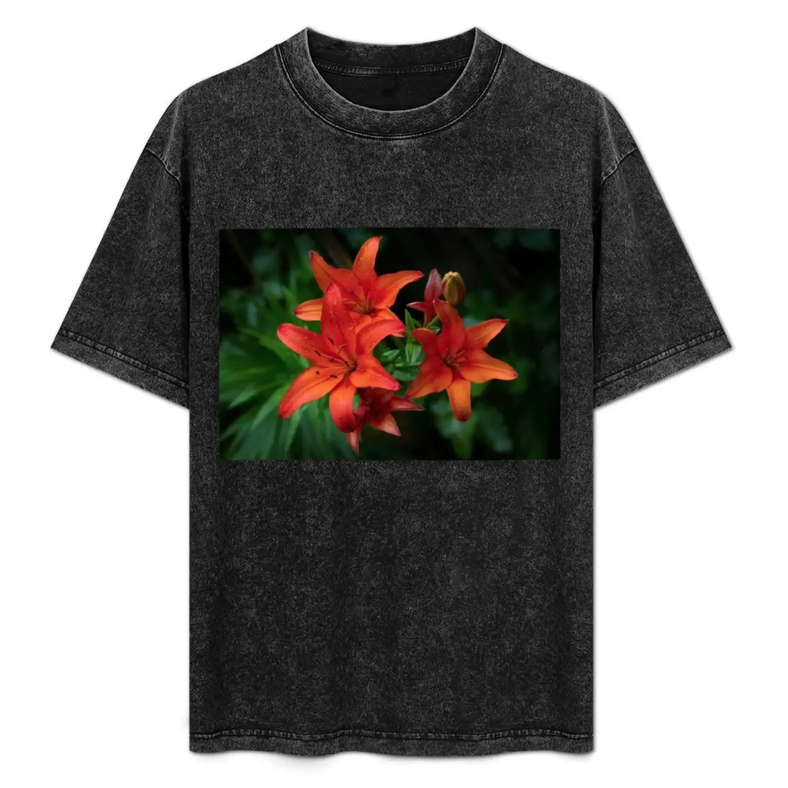 

Lily T-Shirt shirts graphic tee oversized t shirt gifts for boyfriend topping mens graphic t-shirts pack