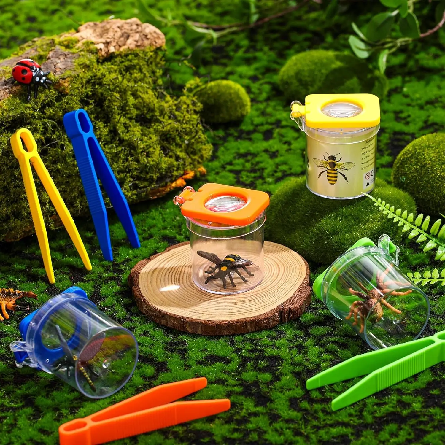 4-Piece Insect Observation Tool Set with Magnifying Glass and Tweezers, Observation Box and Capture Container, Suitable for Scientific Natural Exploration and Collection Tools