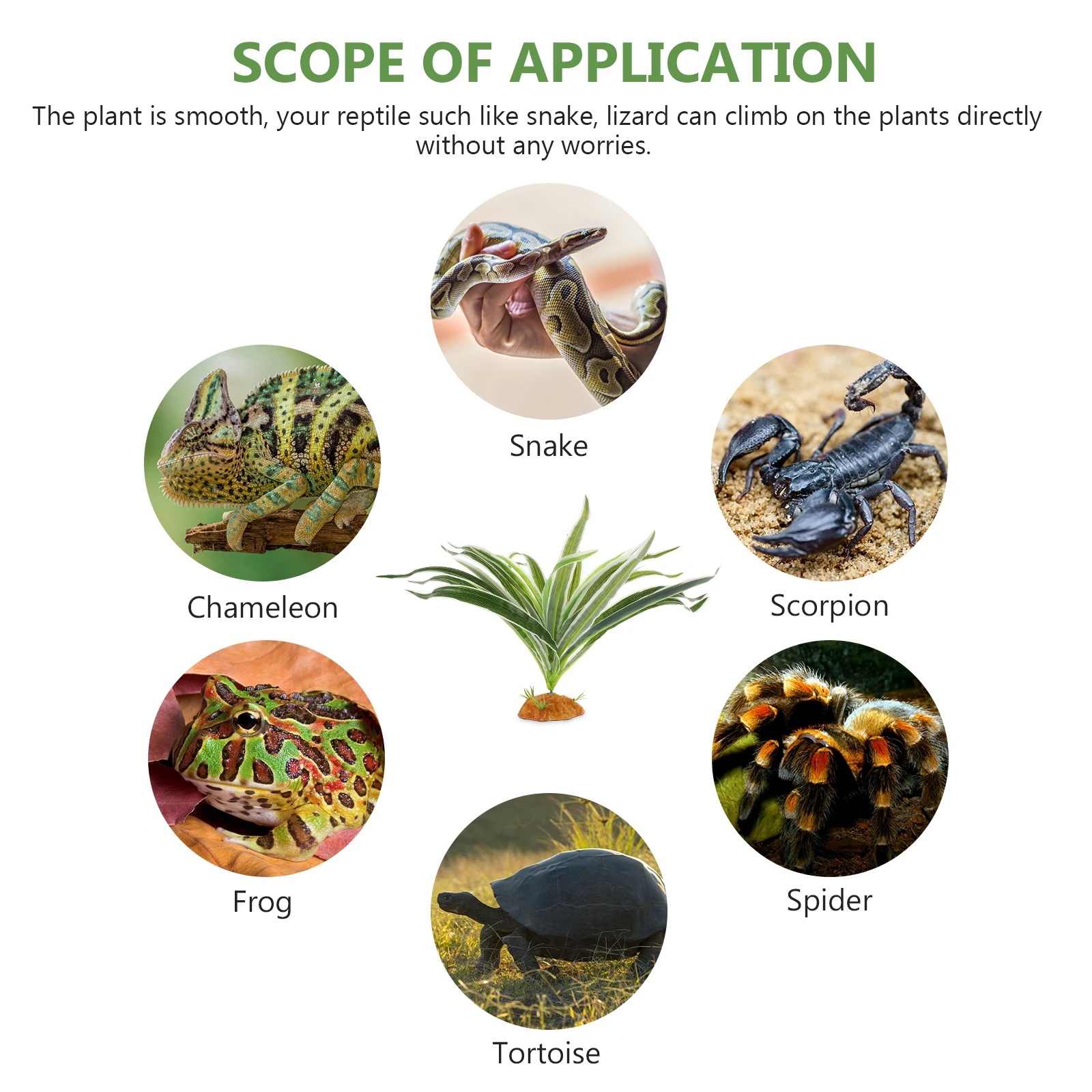 

Natural-Looking Artificial Plant for Reptile Tank Decor Exquisite Simulation Leaf Reptile Climbing Friendly Fake Plants Habitat