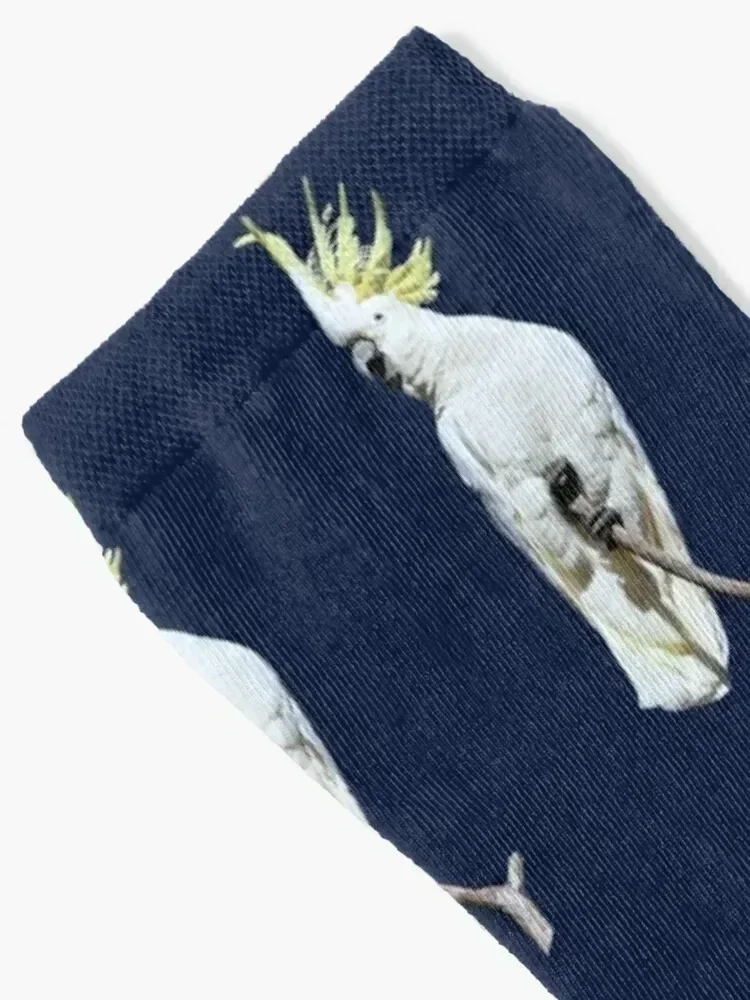 جوارب كوكاتو 2 كريستيد بالكبريت، جوارب هيب هوب للصالة الرياضية، جوارب أرضية للرجال والنساء