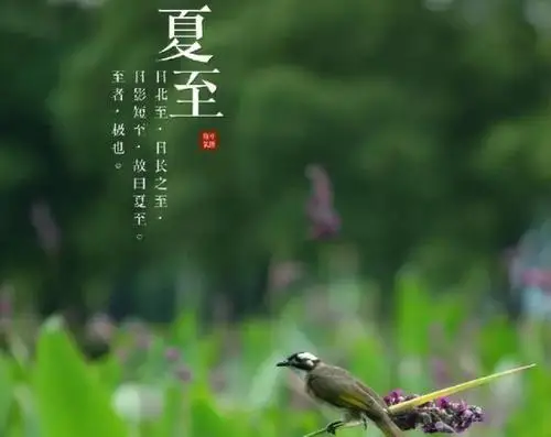 

Запасные части для радиоуправляемых машинок MN Model MN82T LC79 MN82S MN82Pro MN82: задние соединительные стойки, амортизаторы ​