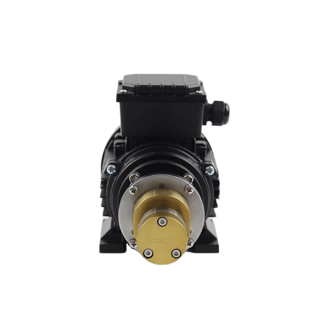 

Small 316 Stainless Steel Chemical Process Pumps Portable Magnetic Drive Gear Water Pump