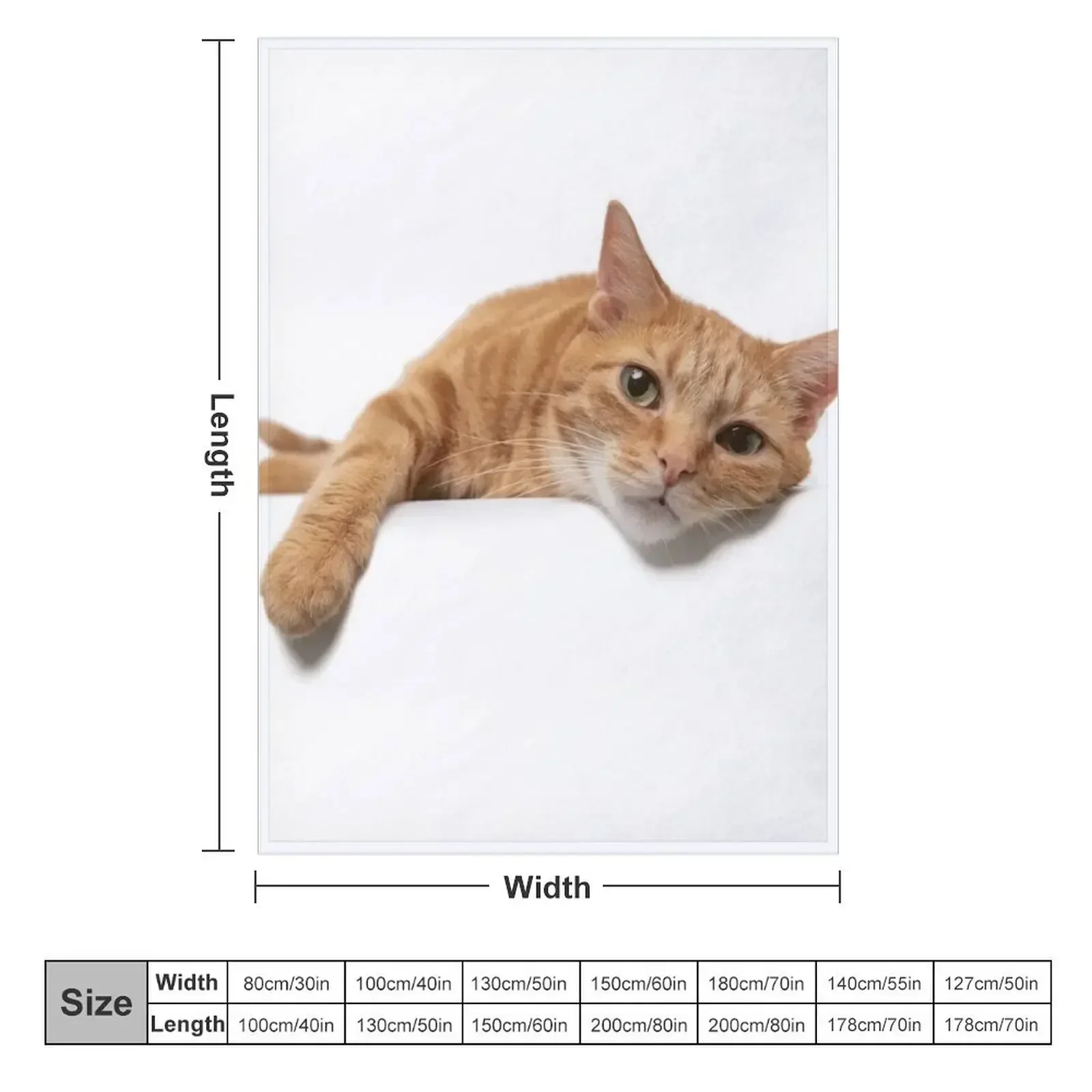 Orange Tabby Cat Laying on a White Background Throw Blanket Kid'S Bed For Decorative Sofa cosplay anime Blankets