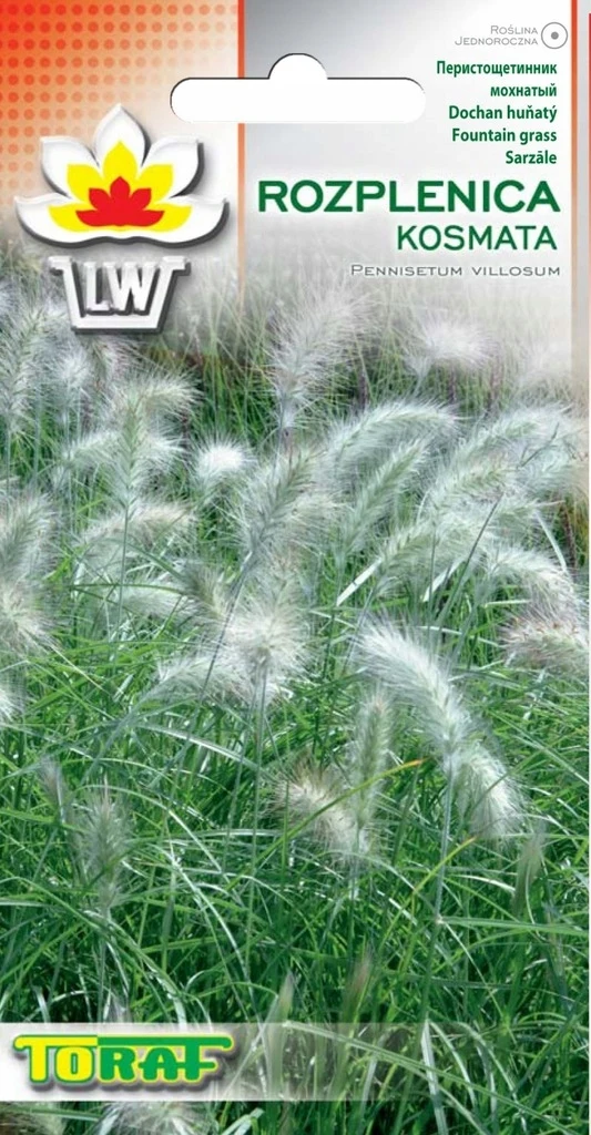 Grasspule Blumensamen-666 Toraf