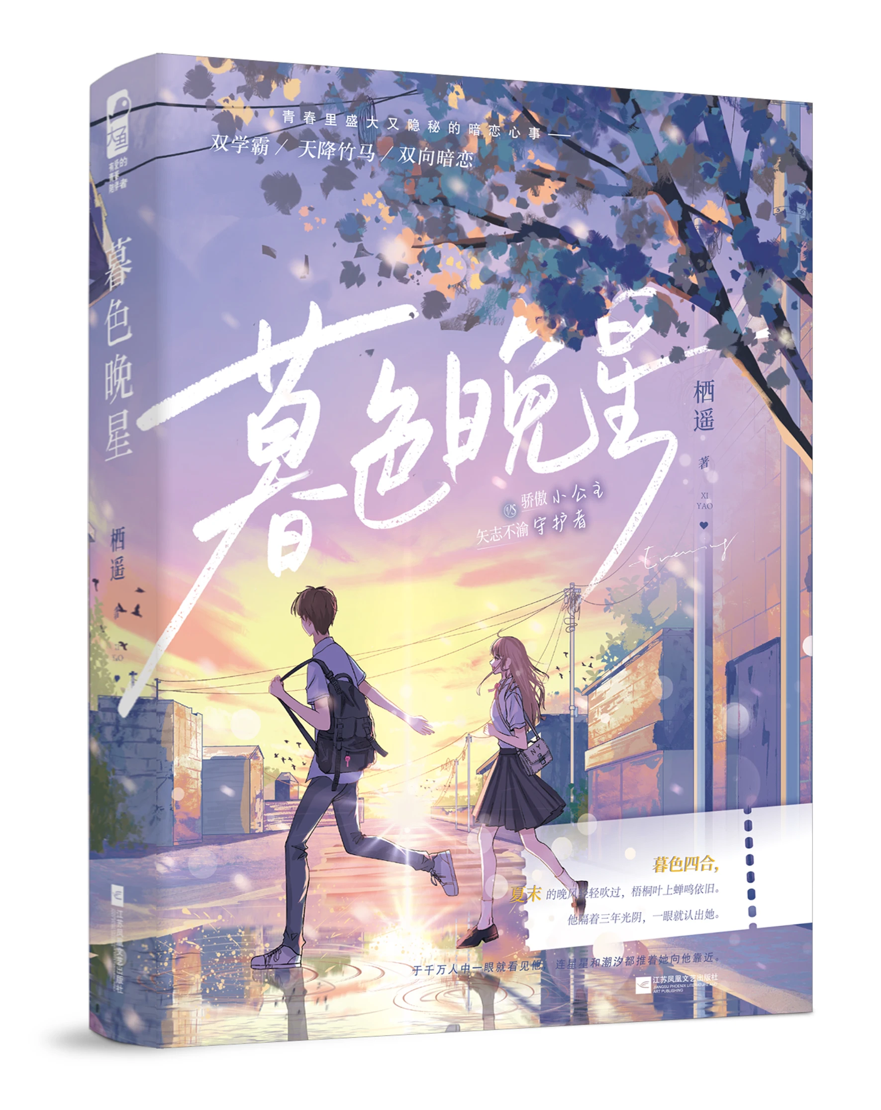 

Dusk and Stars: This Is A Novel of Romantic Love in A High School Setting, Featuring A Mutual Crush Between Two Characters.