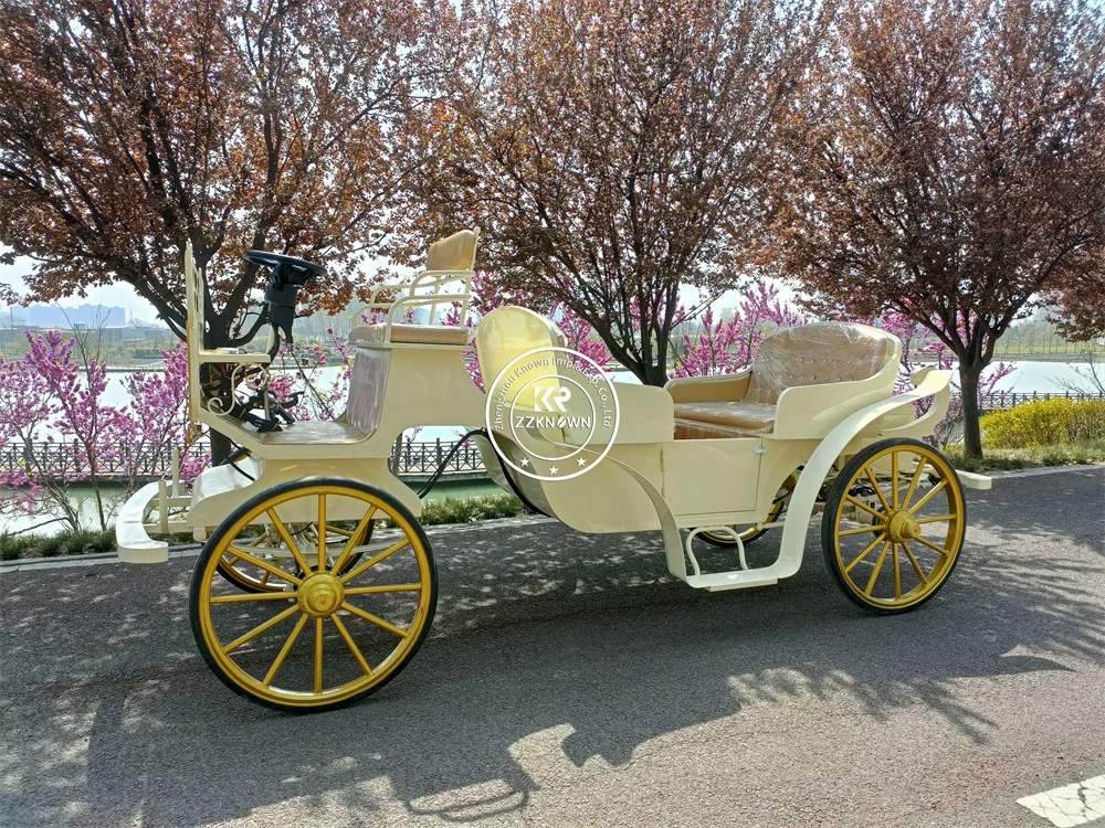 Двухрядные экскурсионные коляски в европейском стиле электрические Свадебные королевские коляски для продажи