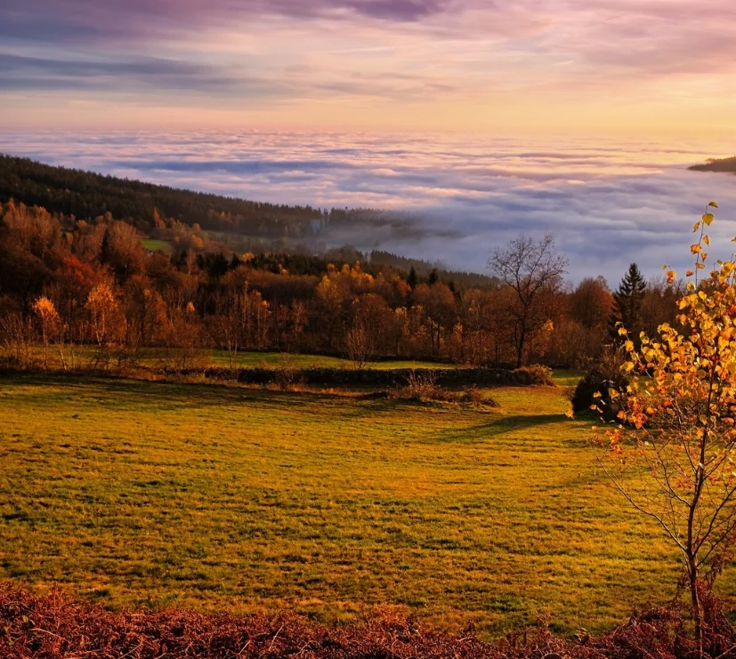 

Высокоскоростной радиоуправляемый автомобиль в масштабе 1:14, водонепроницаемый монстр-трак с дистанционным управлением, внедорожный и гоночный автомобиль 4x4 для детей