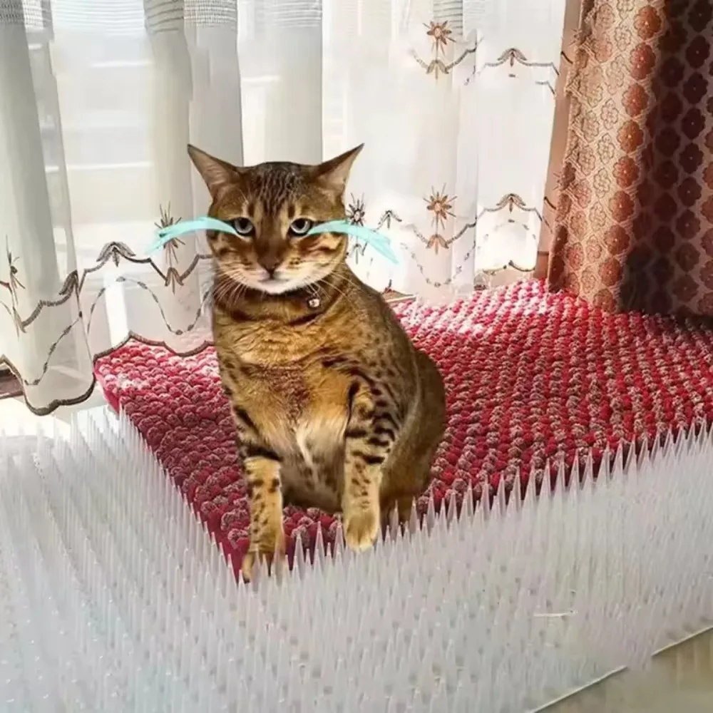 เดือยไล่นกและนกพิราบ ทำจากพลาสติกและสแตนเลส ป้องกันแมว ป้องกันนกพิราบ ป้องกันสัตว์รบกวน