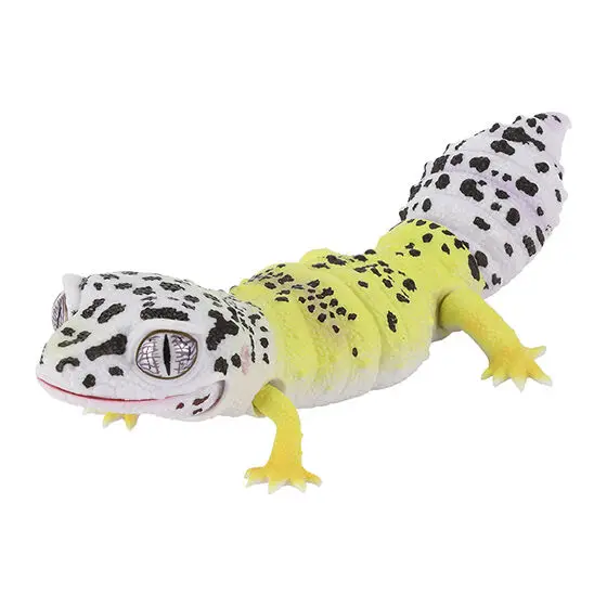 

Genuine Gacha Scale Model Great Biological Encyclopedia Series Reptiles Armadillos Guard Lizards Action Figure Toys