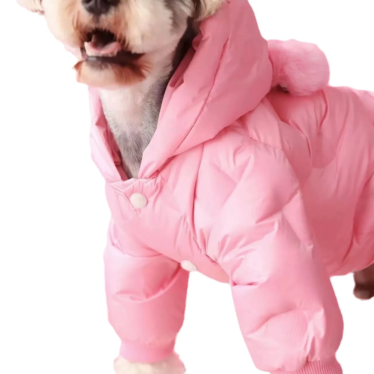 Autumn and Winter Pet Pink Four Leg Cotton Jacket Pet Schnauzer Bear Small and Medium Sized Dog Clothes for Small Dogs