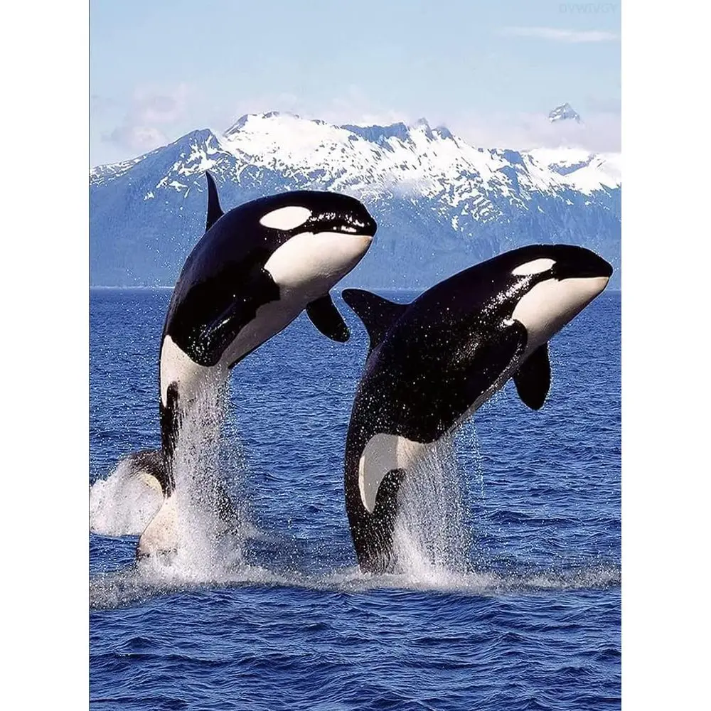 

Алмазная вышивка «Орка» (убийца китов), животные синего океана, набор для алмазной живописи по номерам, декор для стен, 12 x 16 дюймов