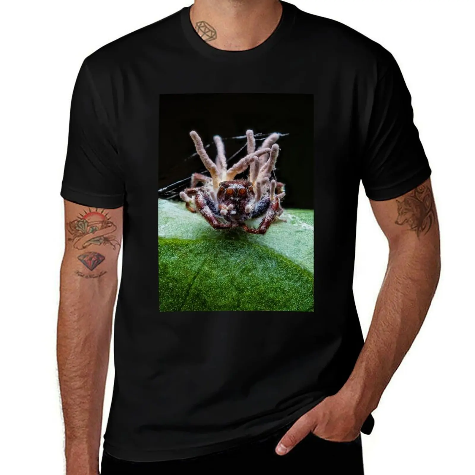 Zombie Jumping Spider - Cordyceps Fungus Infection T-Shirt Soft Anti-Shrink Cotton Tee T-Shirt