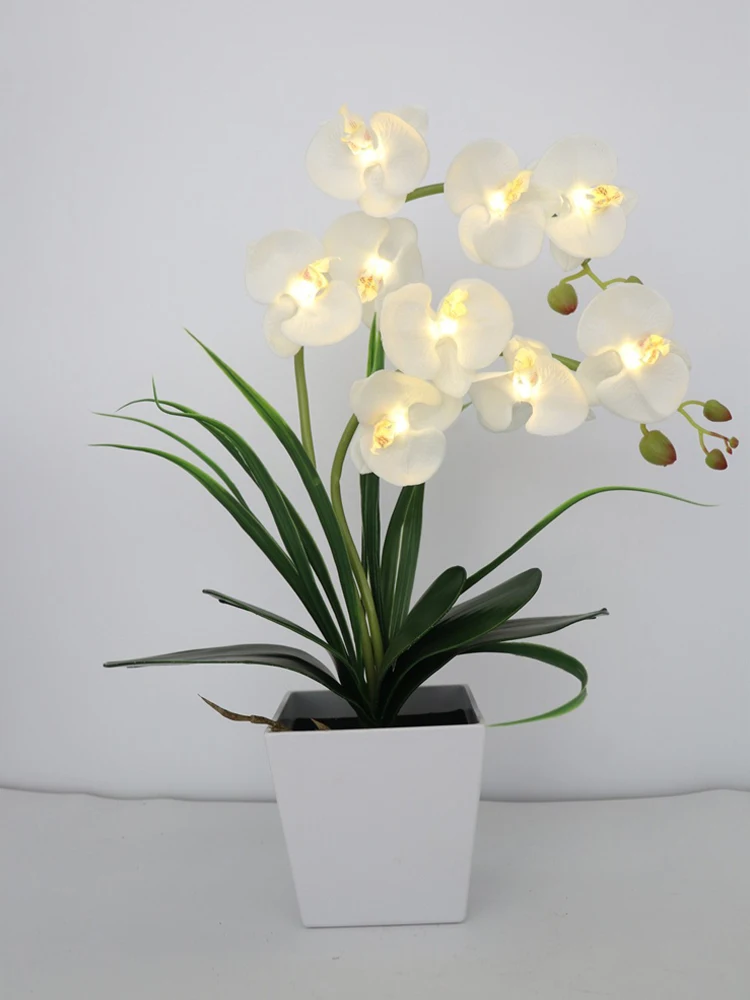 LED Battery Lighted Flower in Pot, Orchid Flower, Orchid Blossom, Phalaenopsis Orchid, Holiday, Wedding, Home Decoration, Gift