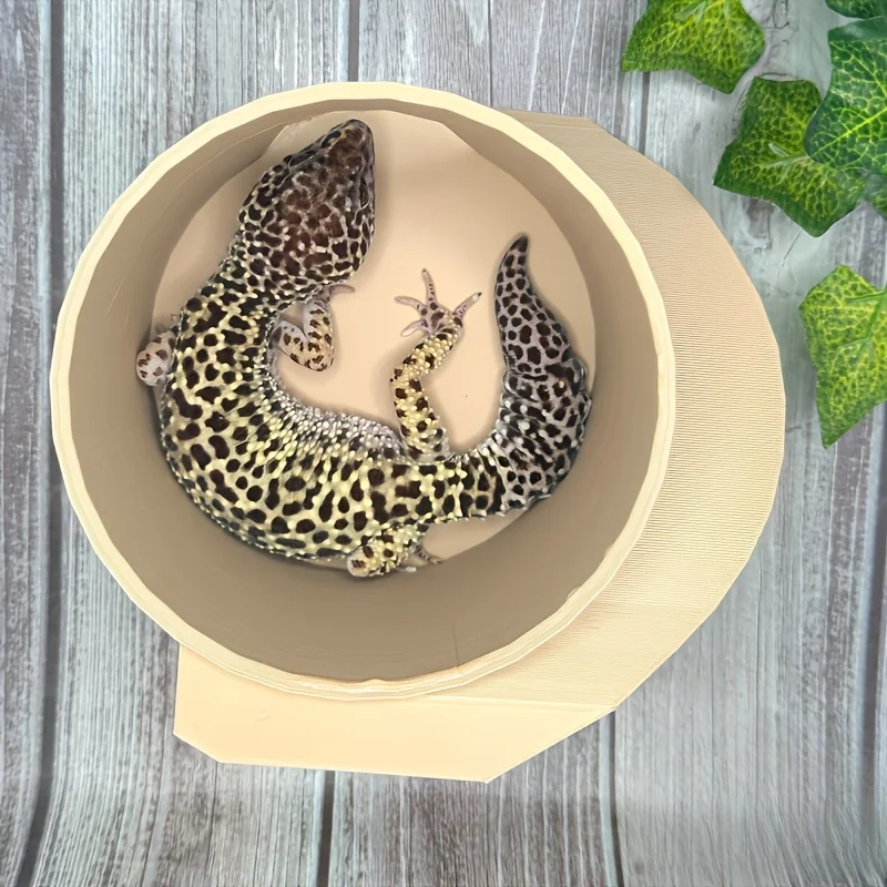 Amphibian Decorativ…