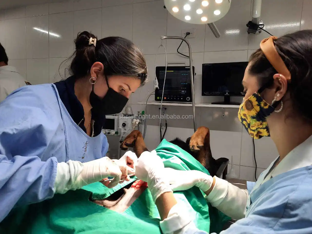 Cheap 6 Parameter Vital Sign Ambulance Device Veterinary Portable Firstaid Devices