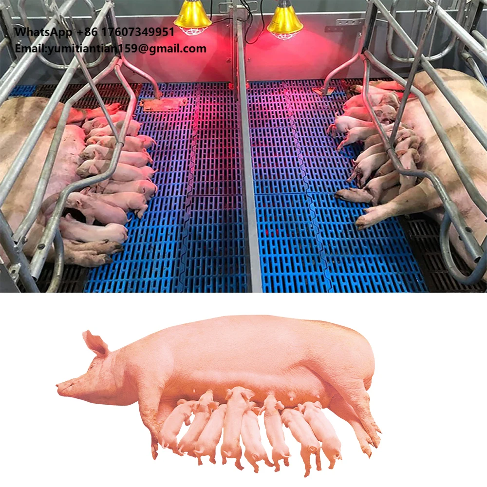 Livestock Breeding … - image