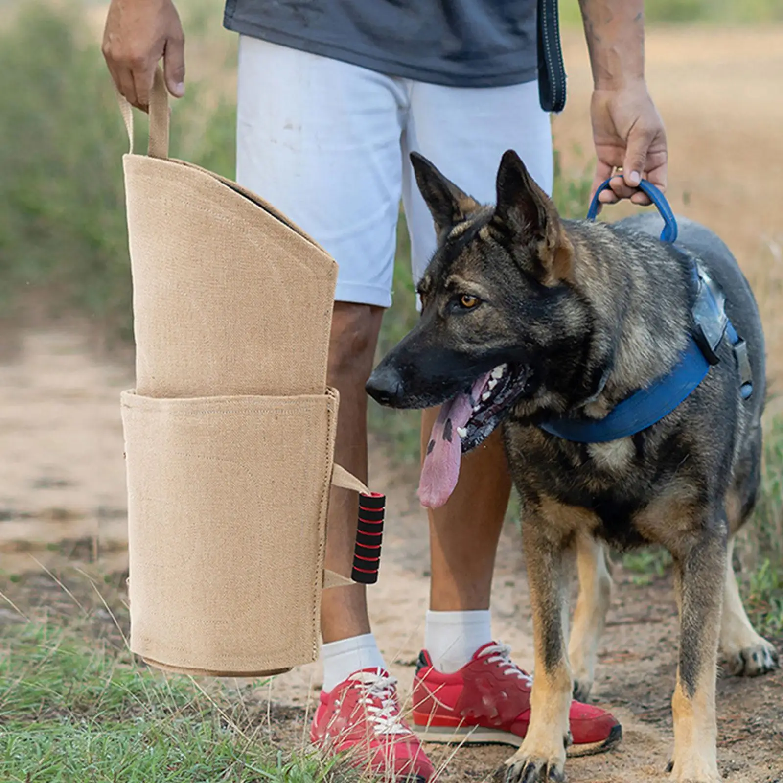 Dog Bite Sleeve Training Equipment for Playing Medium Large Dogs Interactive