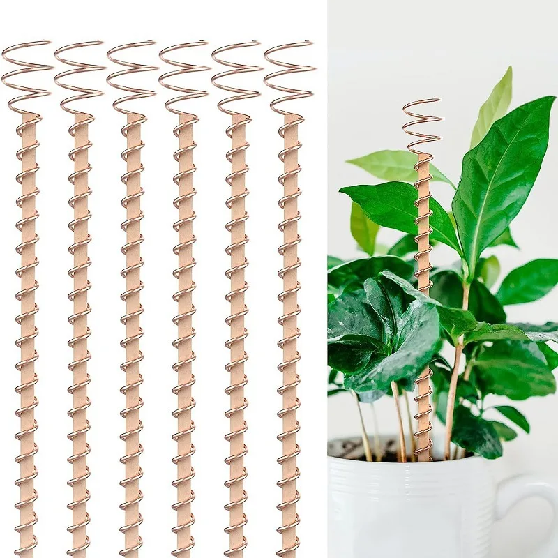 Tiges de fixation en cuivre pour plantes d'électroculture, bobines de fil, tiges en bois, antennes en spirale pour la culture de plantes de jardin et de légumes