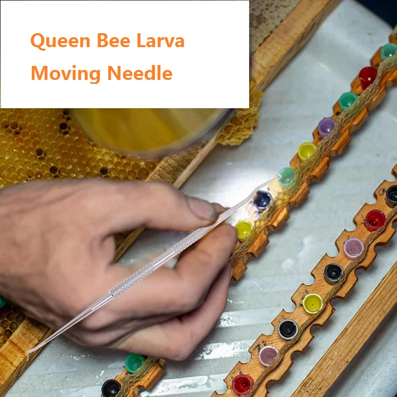 Queen Bee Larva Moving Needle 10PCS Bee Queen Larva Transferring Needle Beekeeping Shift Pin Worm Moving Grafting Beekeeper Tool