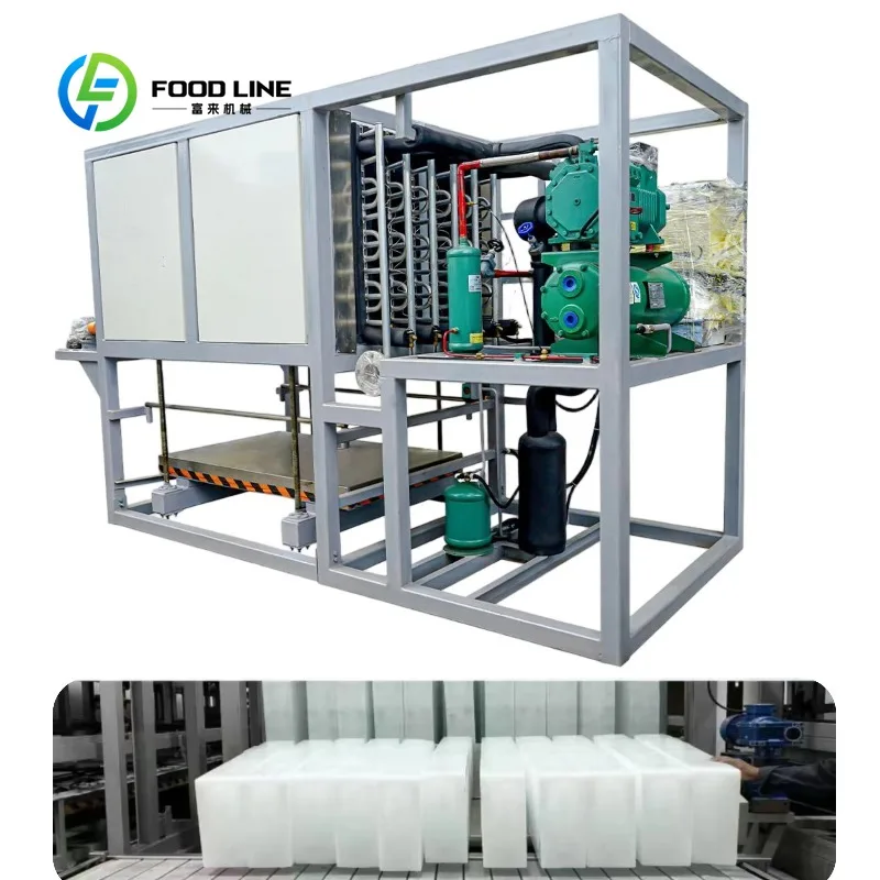 Custom block ice machine ice maker direct cooling stainless steel 3 ton daily clear ice for seafood fishery cold chain logistics