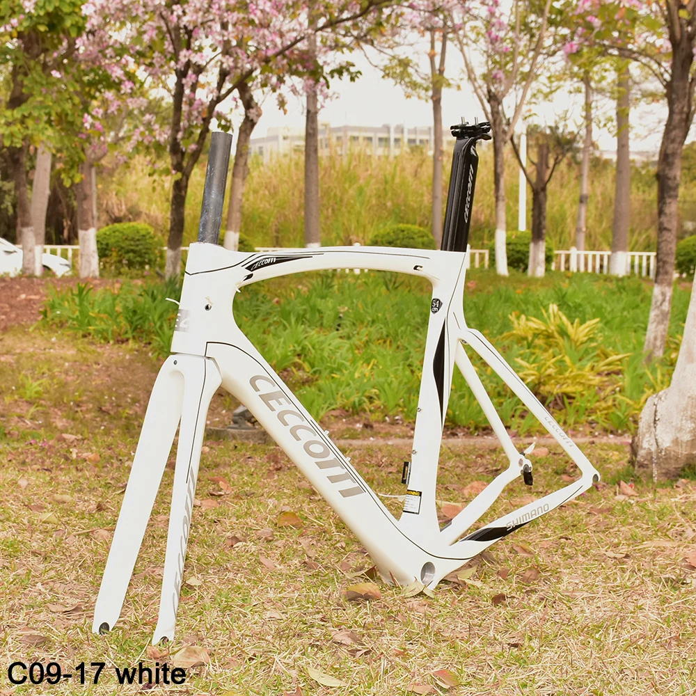 Road Bicycle Frameset from CECCOTTI Factory Carbon Bike Frame, Pearl White Color Framework