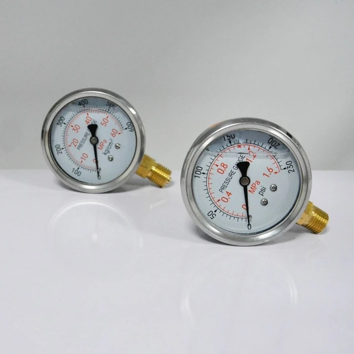 YN60 Hydraulic Gauge Seismic Pressure Gauge YN-60 0-0.6/1.6/2 5/10/16/25/40MPA