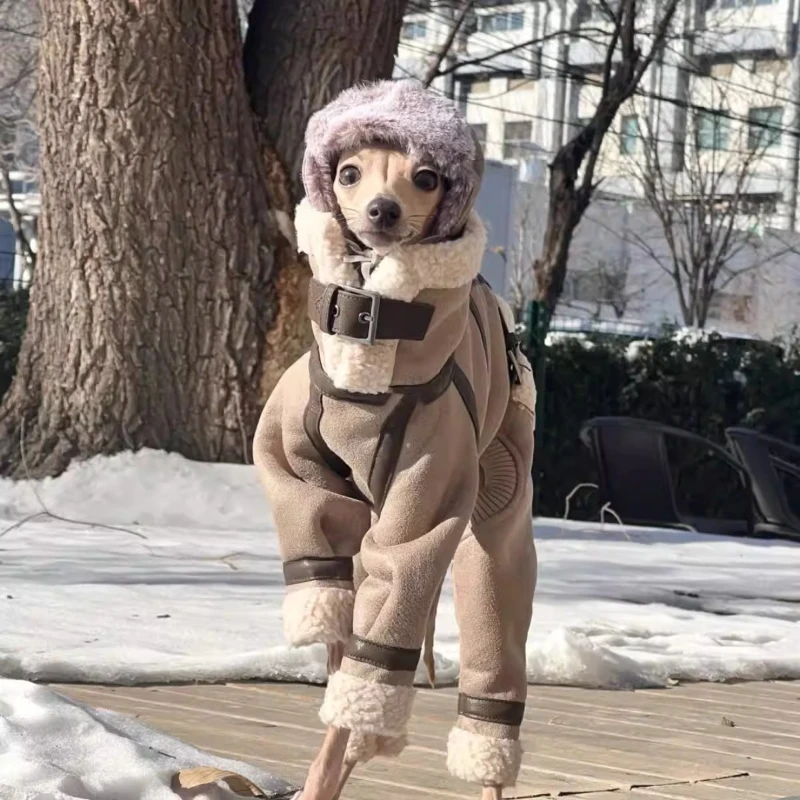 

High-necked Whippet Clothes Italian Greyhound Bellington Dog Winter Cotton-padded Clothes Four Legged Dog for Small Medium Dogs