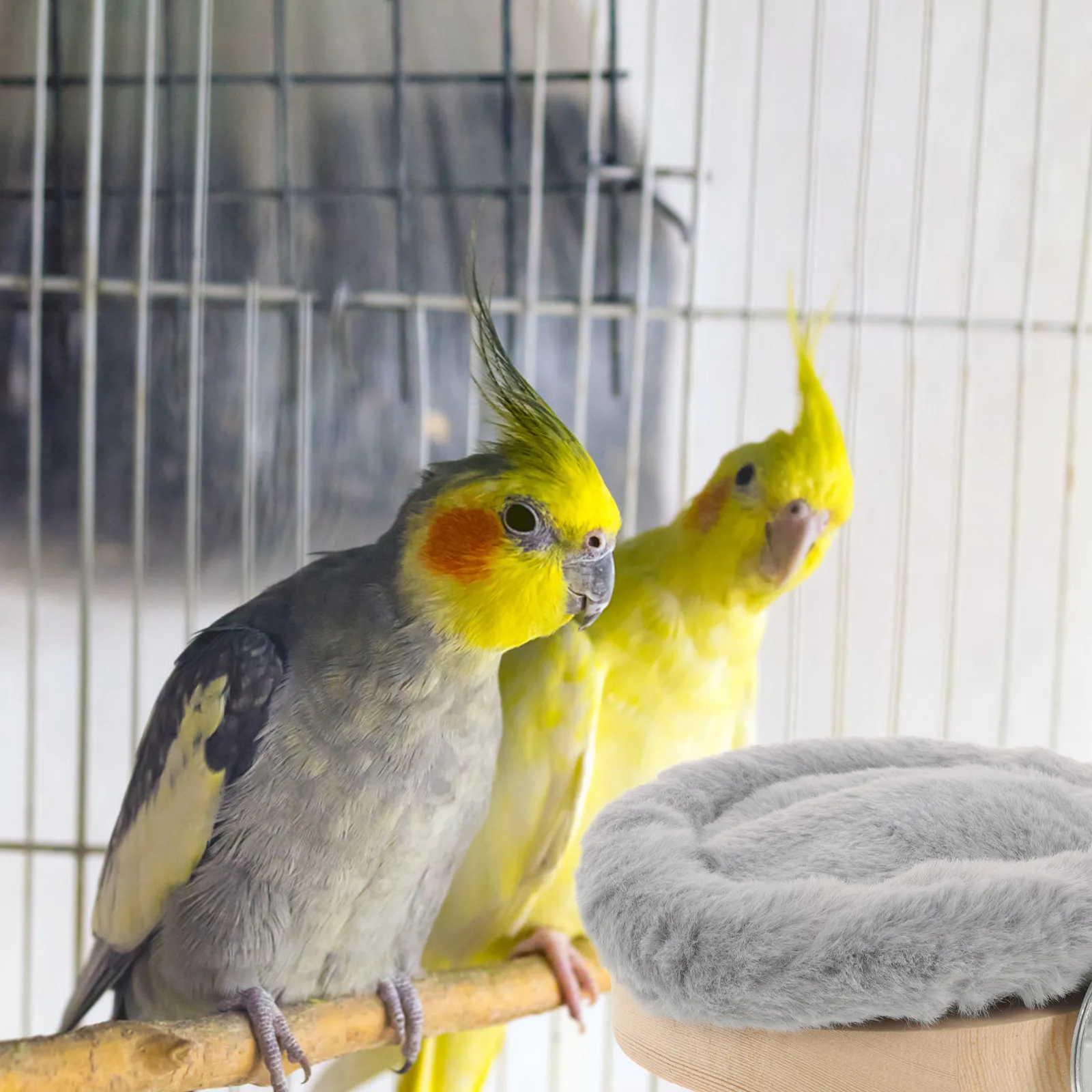 

Parrot Perch Double Layer Warm Foot Pad Deep Bird Standing Platform For Winter Gray Bird Cage Accessories Winter Toy