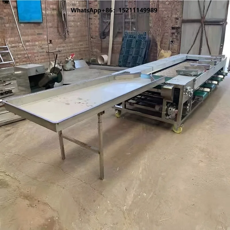Industrial Olive Oranges Calibration Line Size Sorting Potatoes Onions Fruit Sorter and Grading Machine for Vege