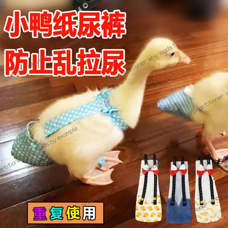 Cole duck diapers, shit pockets, diapers worn by ducklings and chickens to prevent random pulling of urine,butt pockets, clothes