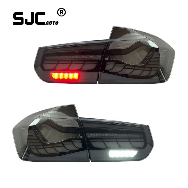 SJC Specially Manufactured White Dragon Scale LED Taillights for BMW 3 Series F30 Provide High-Quality Supply Exclusively