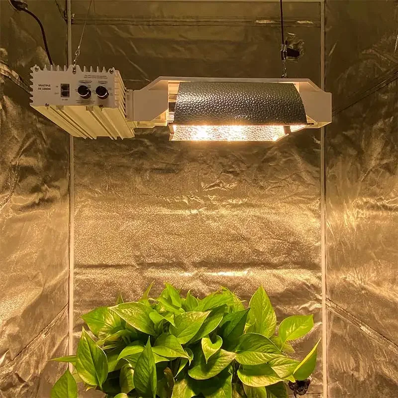 High Quality Ceramic Metal Halide Dimming Double Ended 1000 watt CMH ballast and Lamp