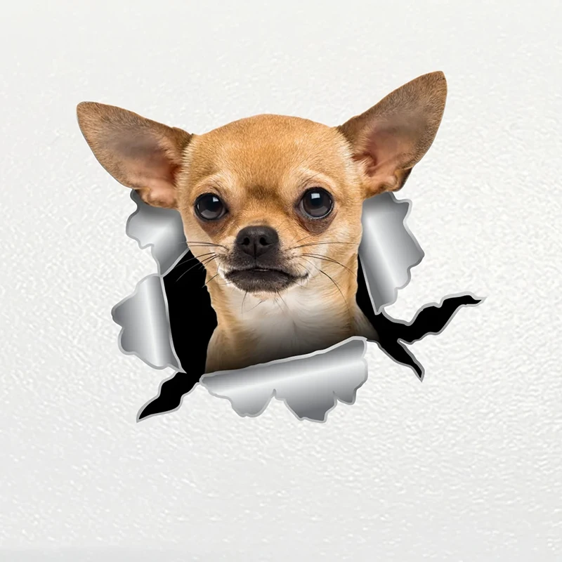 

S62239# Car Sticker Chihuahua Dog Pet Animal Waterproof Vinyl Decal Car Accessories Decor Pegatinas Para Coche