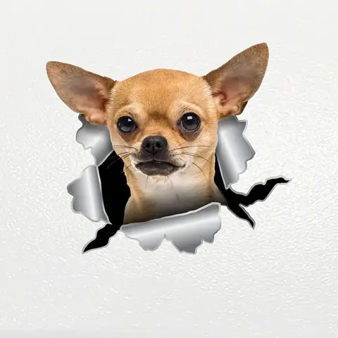 S62239# Car Sticker Chihuahua Dog Pet Animal Waterproof Vinyl Decal Car Accessories Decor Pegatinas Para Coche