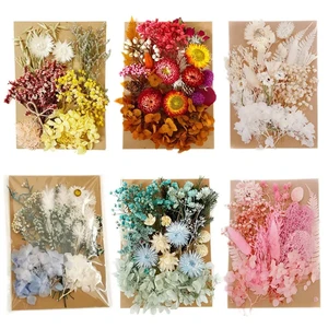 Dried flowers pressed for home decoration, natural flowers for handcrafted handicrafts, wers leaves, diy candles, epoxy resin 10 Main Sales Natural Dry Flowers - №5