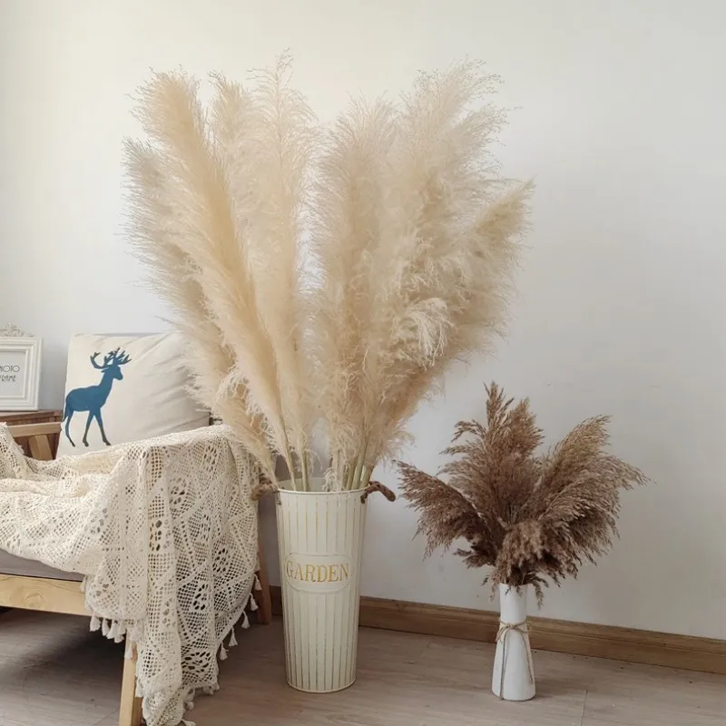 

Large Pampas Grass Super Fluffy Natural Dried Flowers Bouquet Decor Beige Color Country Wedding Flowers Decoration Gift