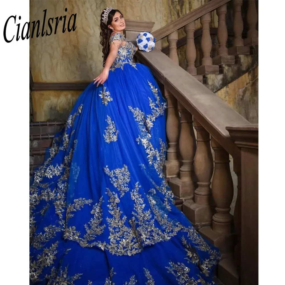 Royal Blue Quinceanera Dresses Princess Dress Sleeves 3D Rose Floral Party Birthday Dress Beaded Long Lace Up Corset Sweet 15