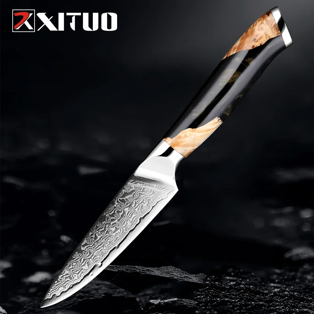 

Damascus Super Steel Paring Knife 3.5 Inch Razor Sharp Kitchen Chef Cooking Knife Utility Fruit Knife Awesome Edge Retention