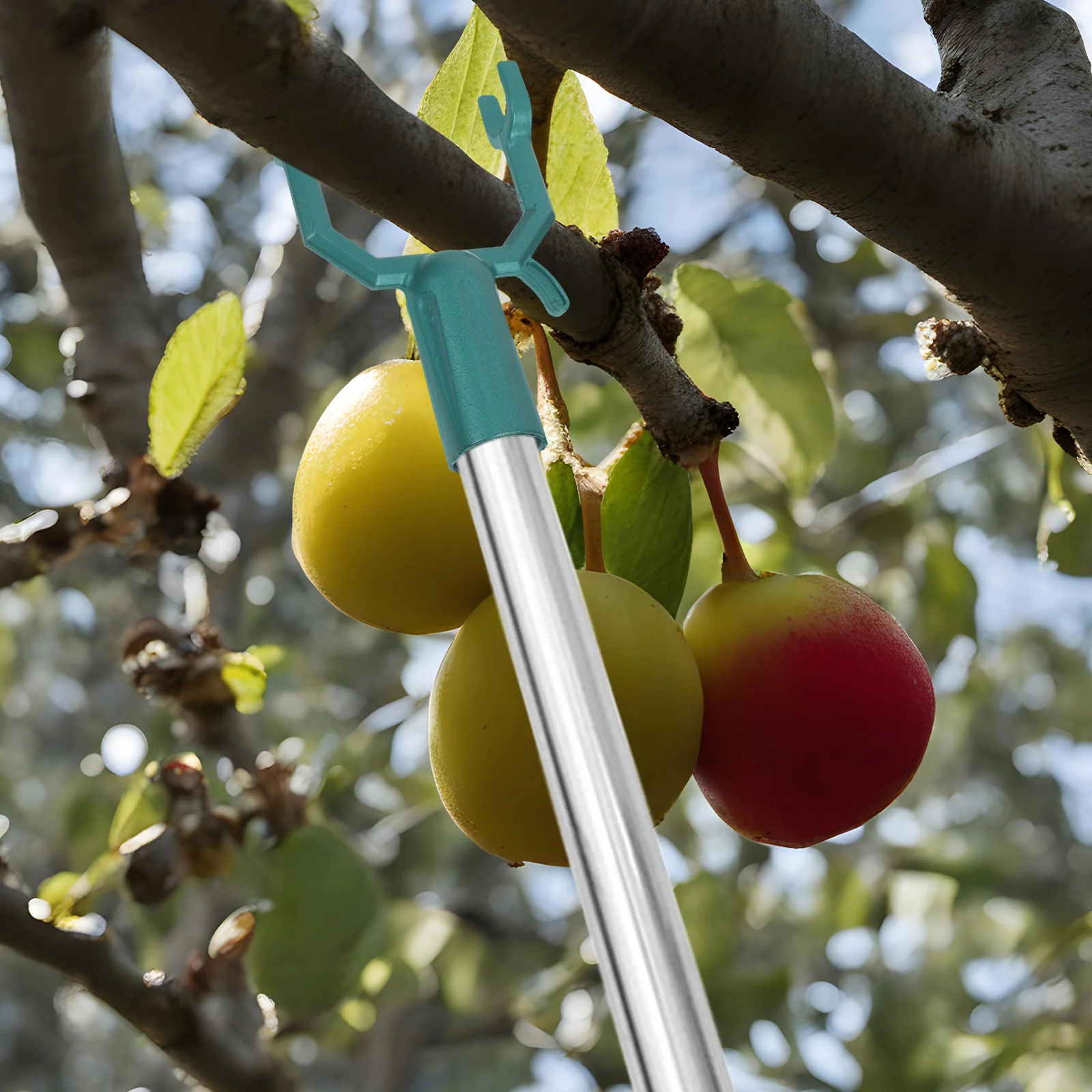 4 PCS 분기 지원 키트 헤비 듀티 트리 스테이크 과일 금속 포크 알루미늄 합금 스프레더