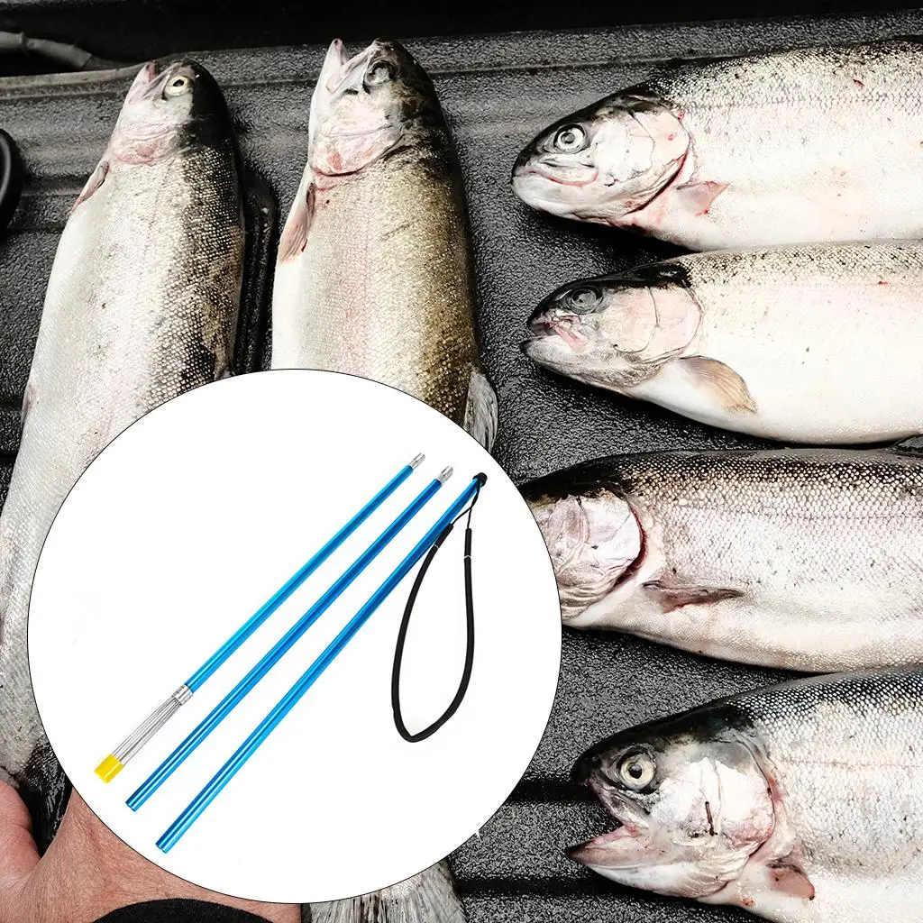 Thumbnail 4 - #30 Compare Fishing Gaffs Before You Buy