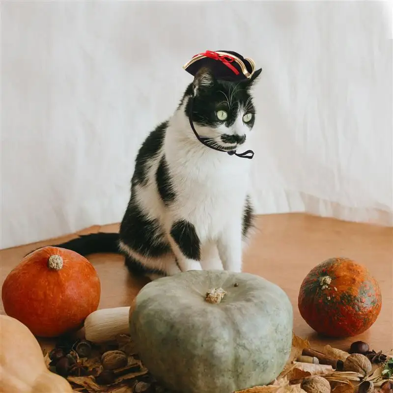 Gorros para exteriores, sombrero de pirata para fiesta de pirata, sombrero de pirata para gato, sombrero de Cosplay de pirata, sombrero para perro, sombrero para mascota para decoración, gato, gatito, perro