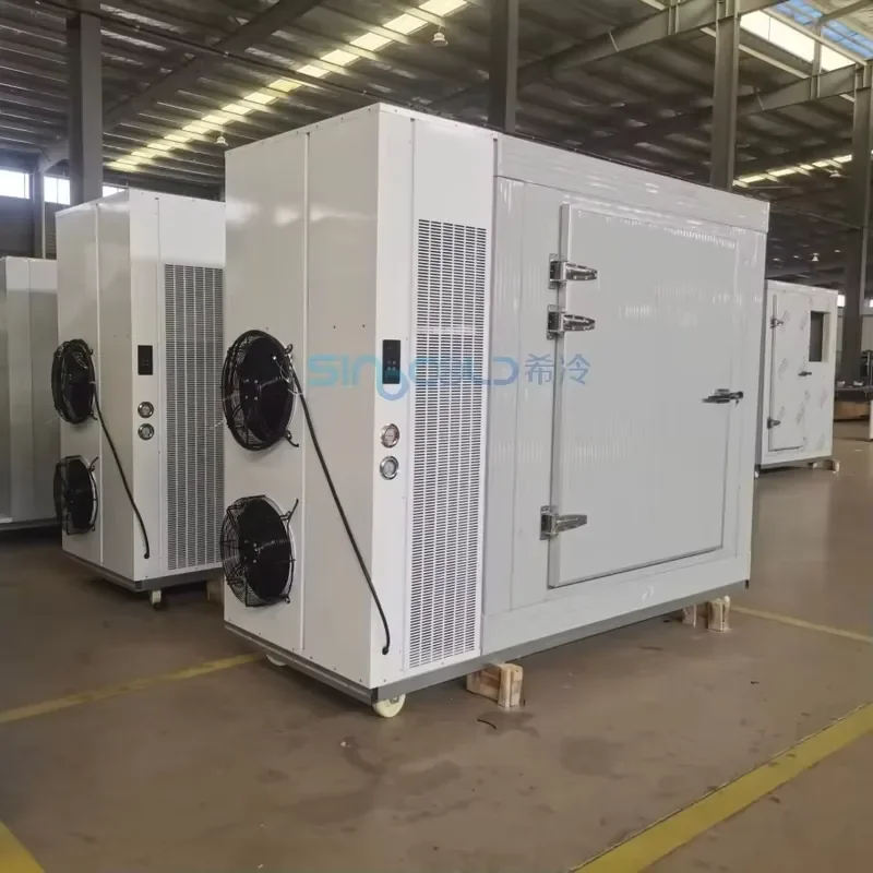 2.9*1.2*2m -40°C Commercial Large Capacity 40 Trays Refrigerator Blast Freezer Room 380V 50hz for Dumpling Dough Buns Seafood
