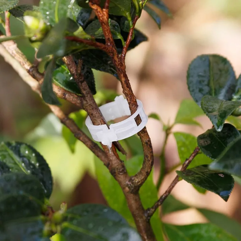 Clips de fijación de enredadera colgante, herramientas de encuadernación de plástico, soporte para plantas, enrejados, jardín, verduras, útil, 1 unidad