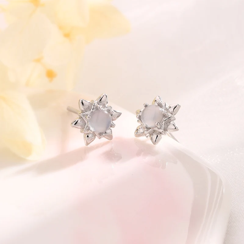 Sparkling Moonlight Crystal Earrings Spicy Girl Star Earbone Nails Silver Color Hexagram Sun Flower Earrings