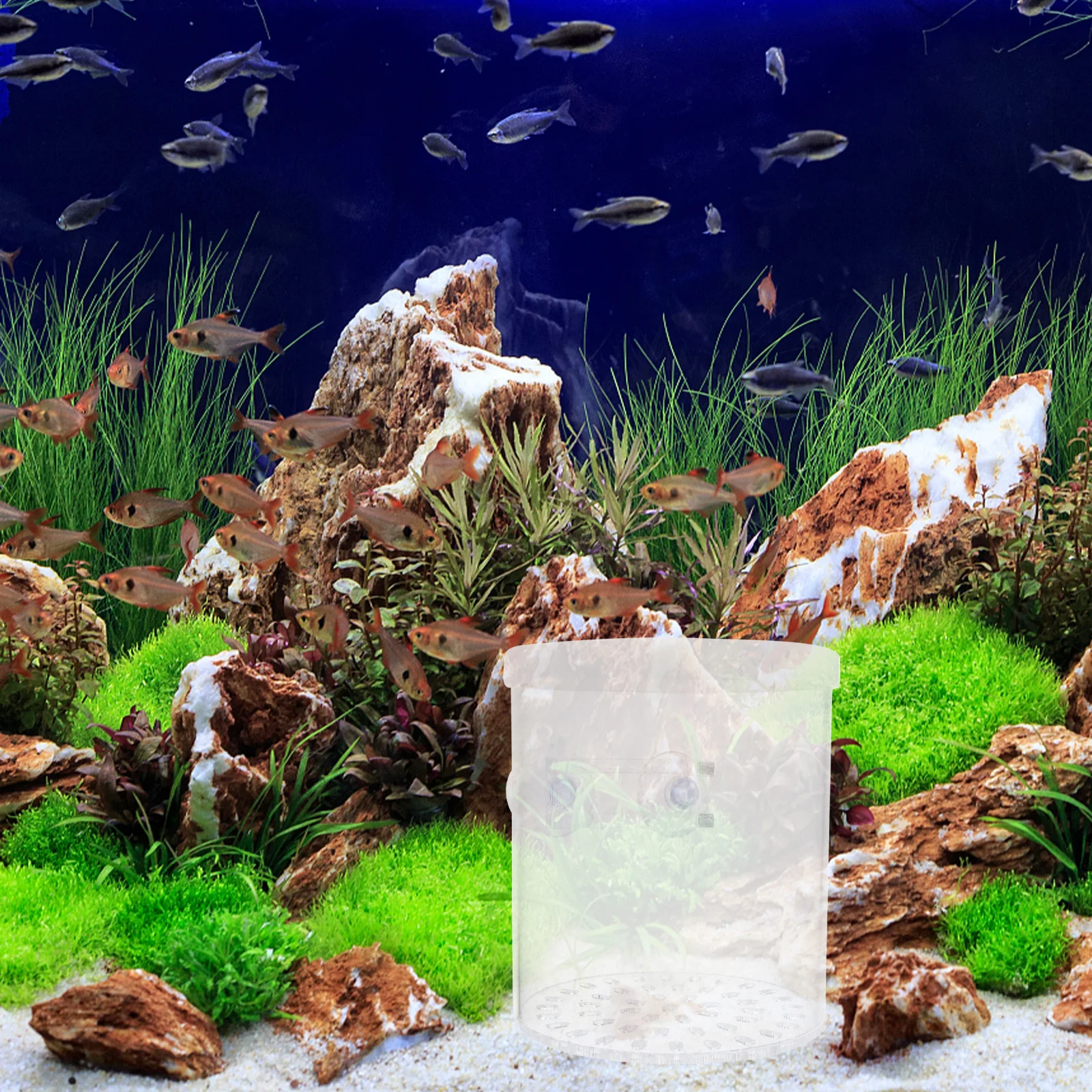 

1pc Acrylic Fish Breeding Box Transparent Eco-Friendly For Fry Hatching Aquarium Incubator Fish Supply Isolation Container Pet