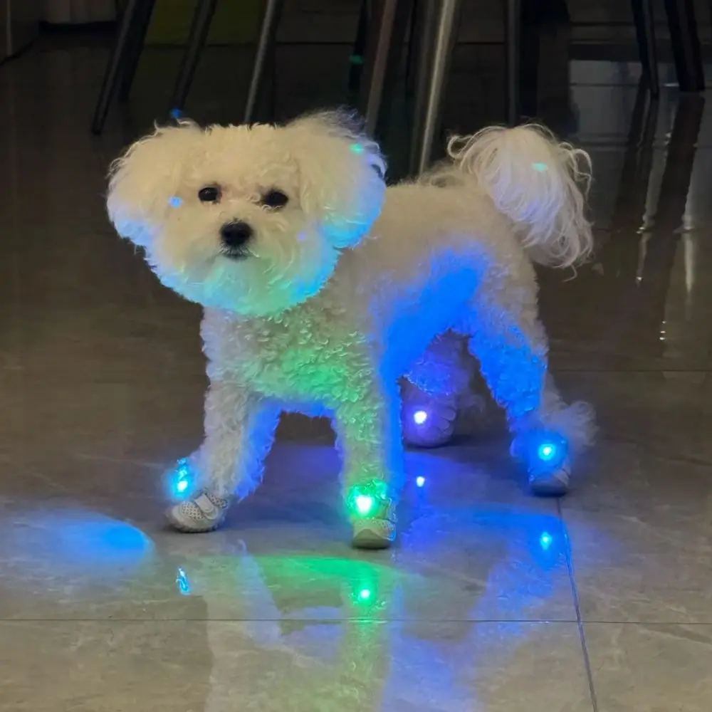 Lightweight Pet LED Clip Light Stress-free Strong Night-time Warning Dog Night Safety Light Multi-color Lighting