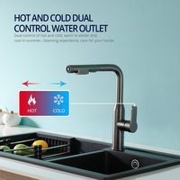 Pull Out Kitchen Faucet Gunmetal Sink Mixer  Single Handle 2 Ways Sprayer Mixer Deck Mounted 360 Swivel Spout Made Of Brass