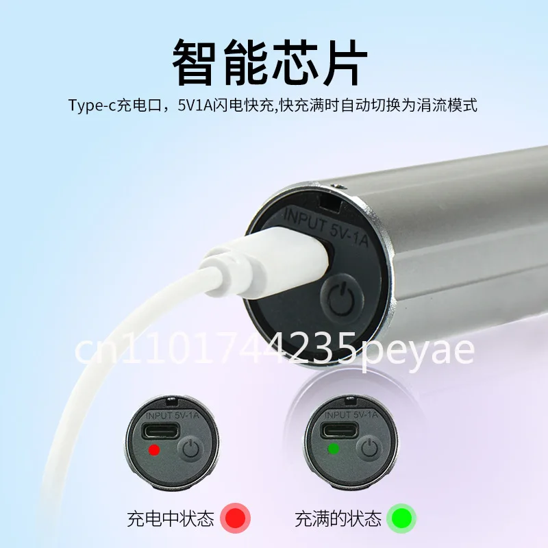Purple light identification lamp UV filter Wood's porcelain cat moss ultraviolet lamp test lamp Purple light flashlight