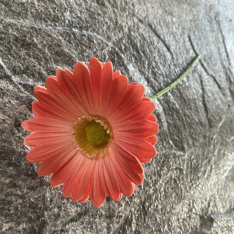 LINANUO 10Pcs PU Gerbera Künstliche Blumen für Hochzeit Decor Real Touch Chrysantheme Hause Wohnzimmer Blume Anordnung Gefälschte Blumen 7
